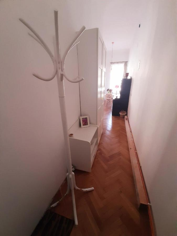 Central Loft Apartment Brasov Bagian luar foto