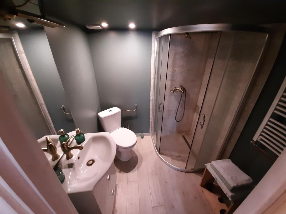 Central Loft Apartment Brasov Bagian luar foto